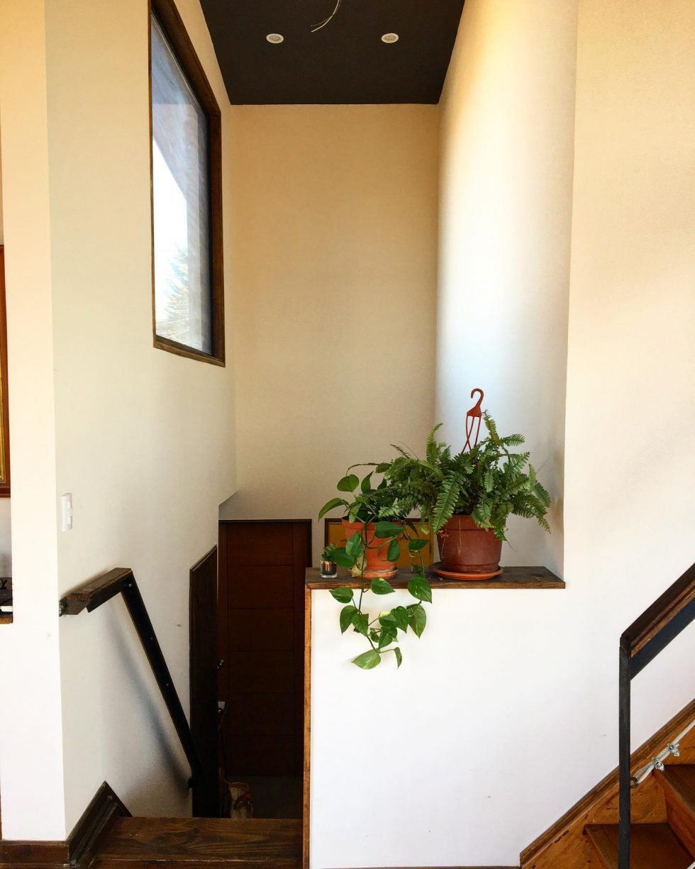 274614043_513968136956888_4230034906295374304_n