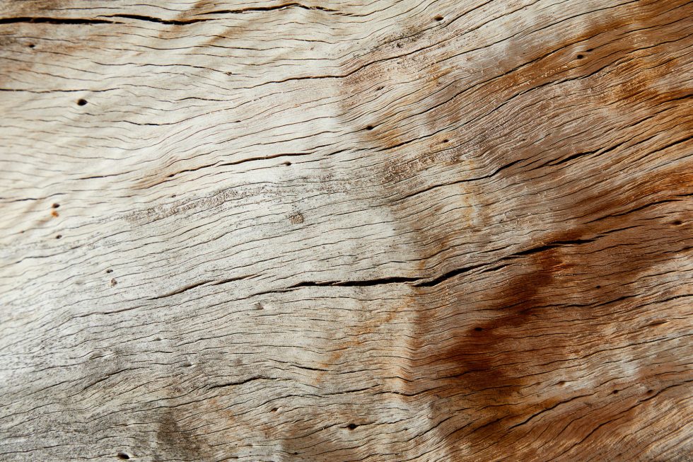 CASA B CALETA ABARCA